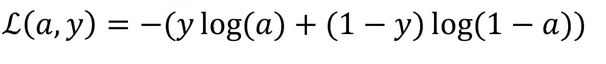 Loss Function